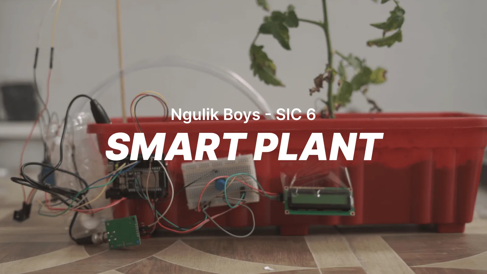 Preview of IoT Smart Plant